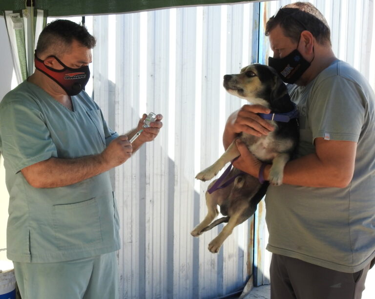 20º Campaña de Castración Canina y Felina