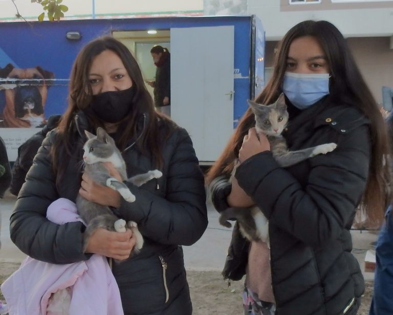 25º Campaña de castración en mascotas