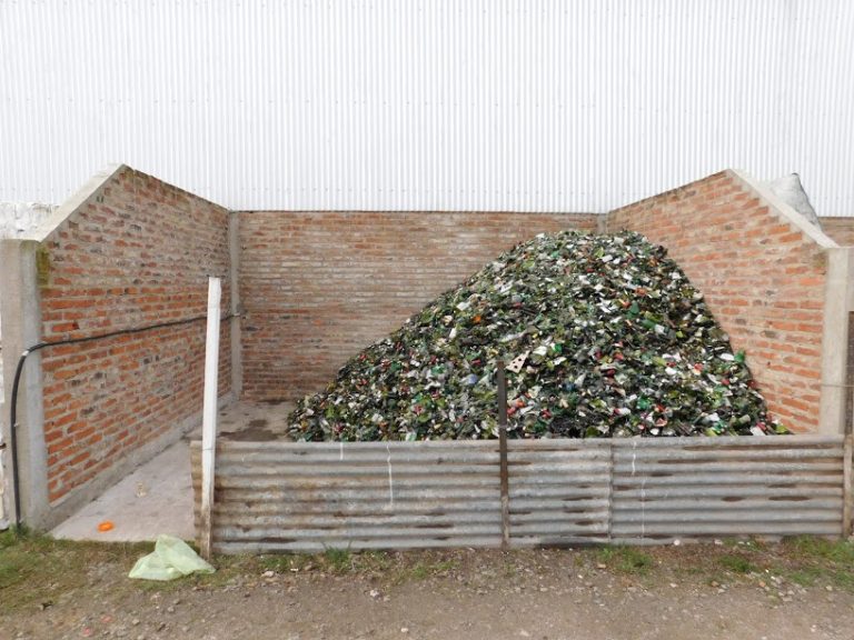 Comenzamos la Semana del Ambiente