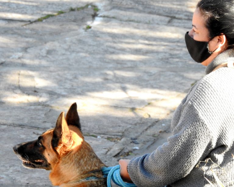 24º Campaña de Castración