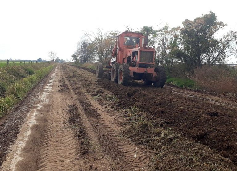Trabajos en zona rural