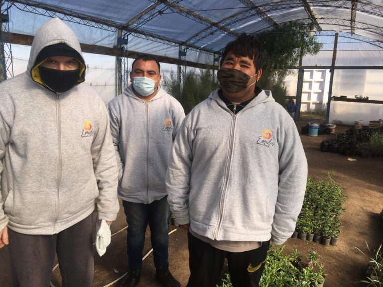 Nos seguimos enrredando