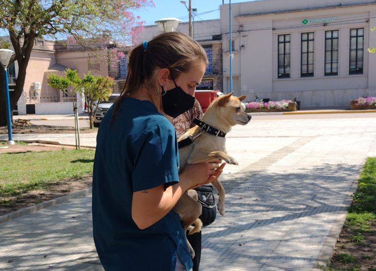28º Campaña de Castración