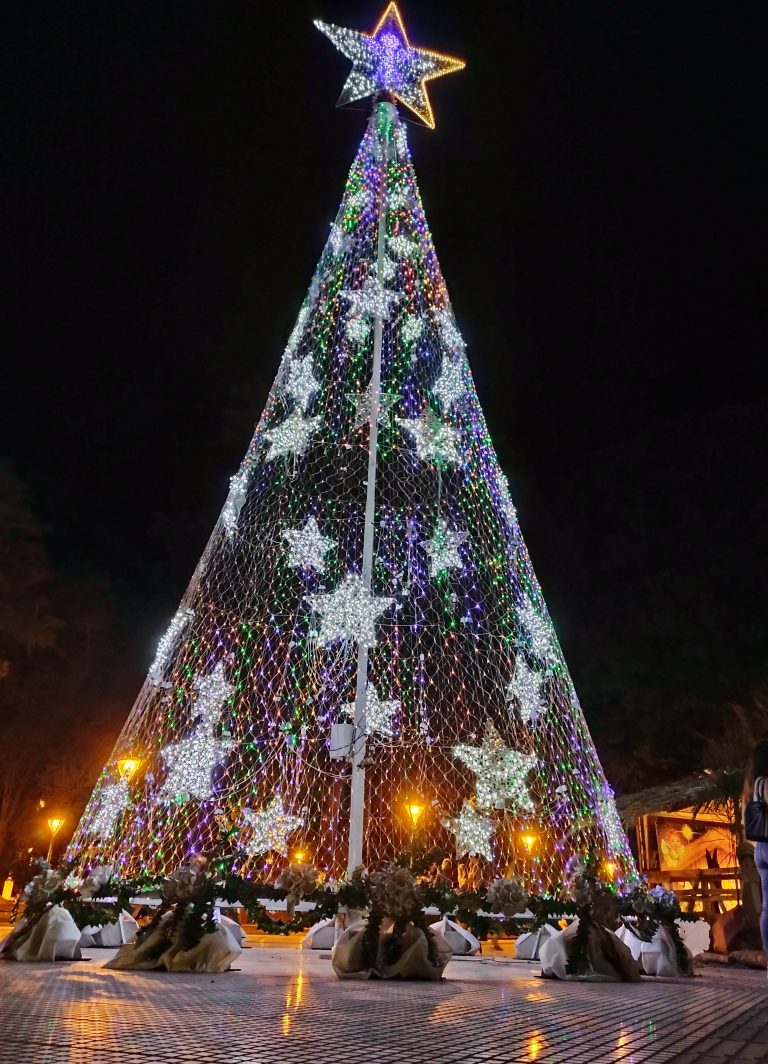 Inauguración Árbol de Navidad
