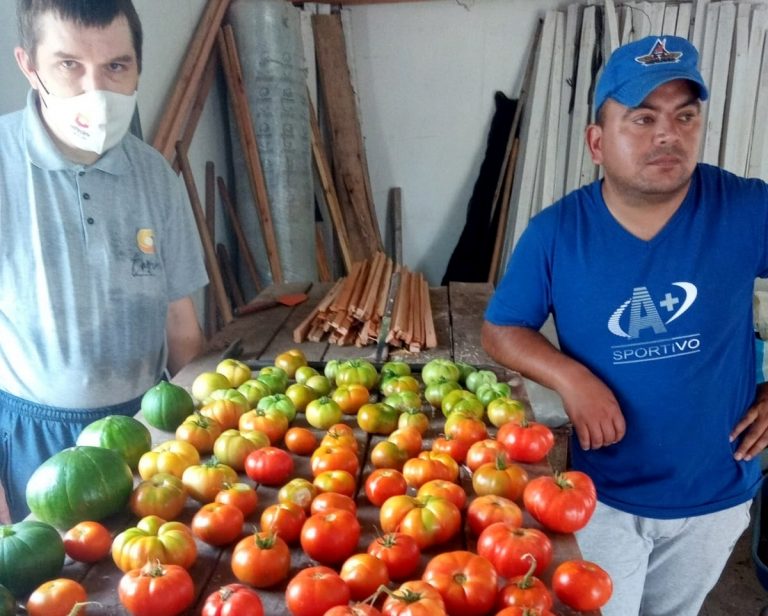 ¡Seguimos cosechando!