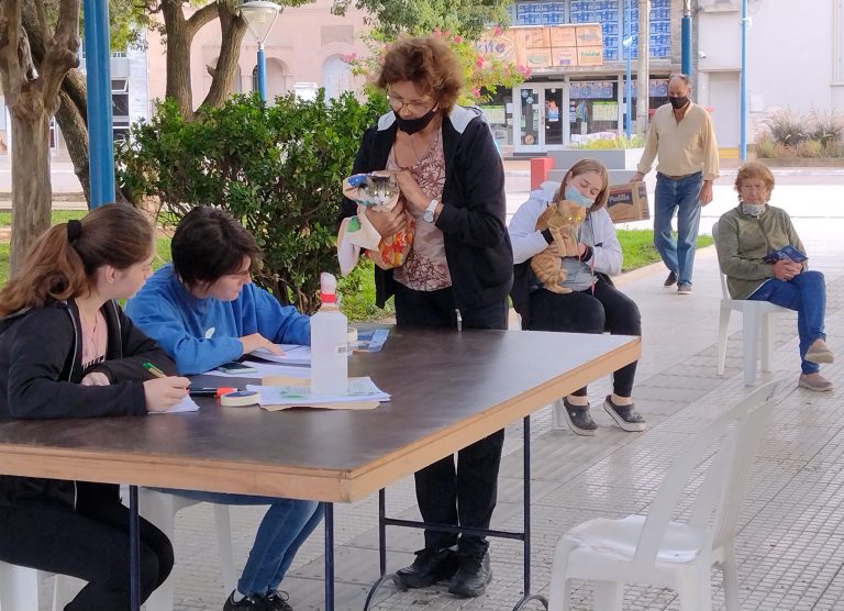 31º Campaña de castración de mascotas