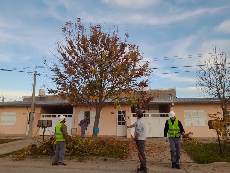 San Jerónimo Norte inició la campaña de poda en distintos puntos de la ciudad
