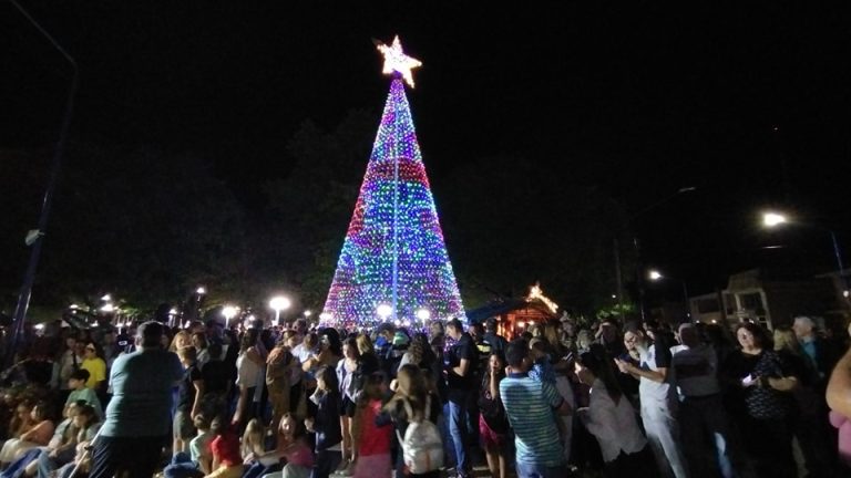 Inauguración árbol de navidad